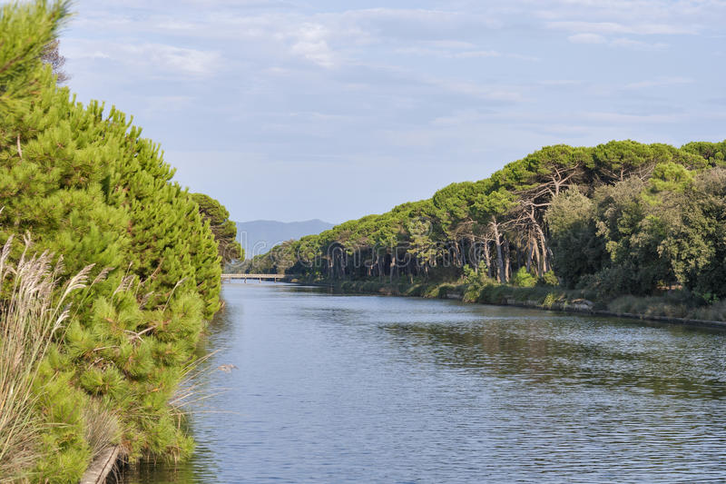 Parco regionale di San Rossore